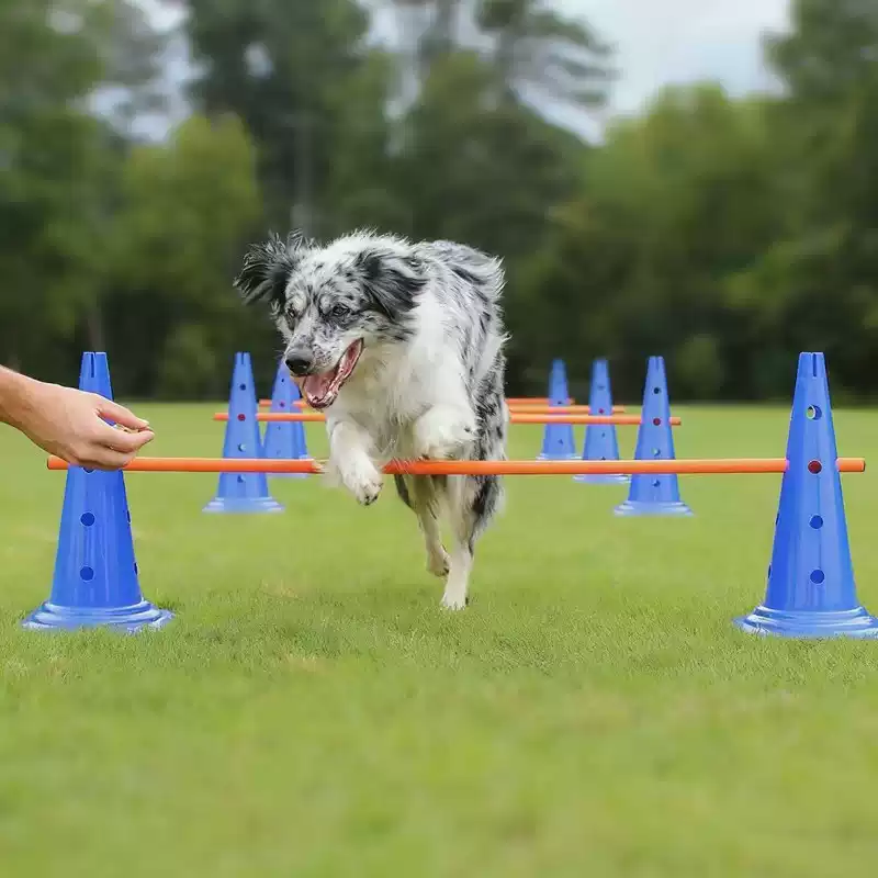 Agility Hurdle Set - ชุดอุปกรณ์ฝึกความคล่องตัวสำหรับสุนัขขนาด 30 ซม., ชุดกระโดดข้ามสิ่งกีดขวาง, กรวย, เสา,