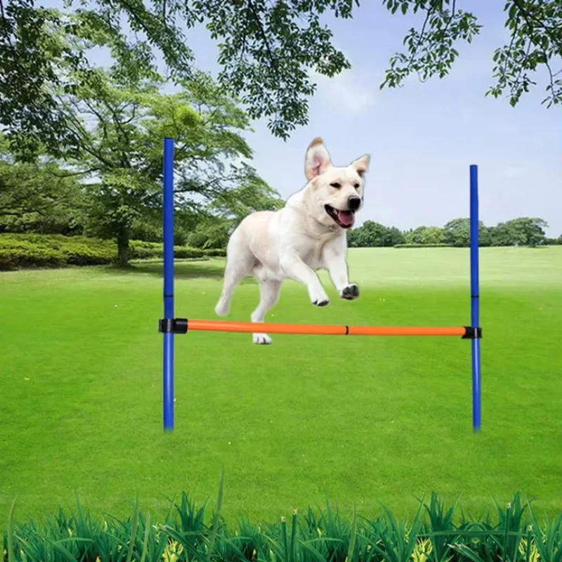อุปกรณ์การฝึกอบรม ชุดฝึกความคล - Agility Hurdle Set บทวิจารณ์และราคา