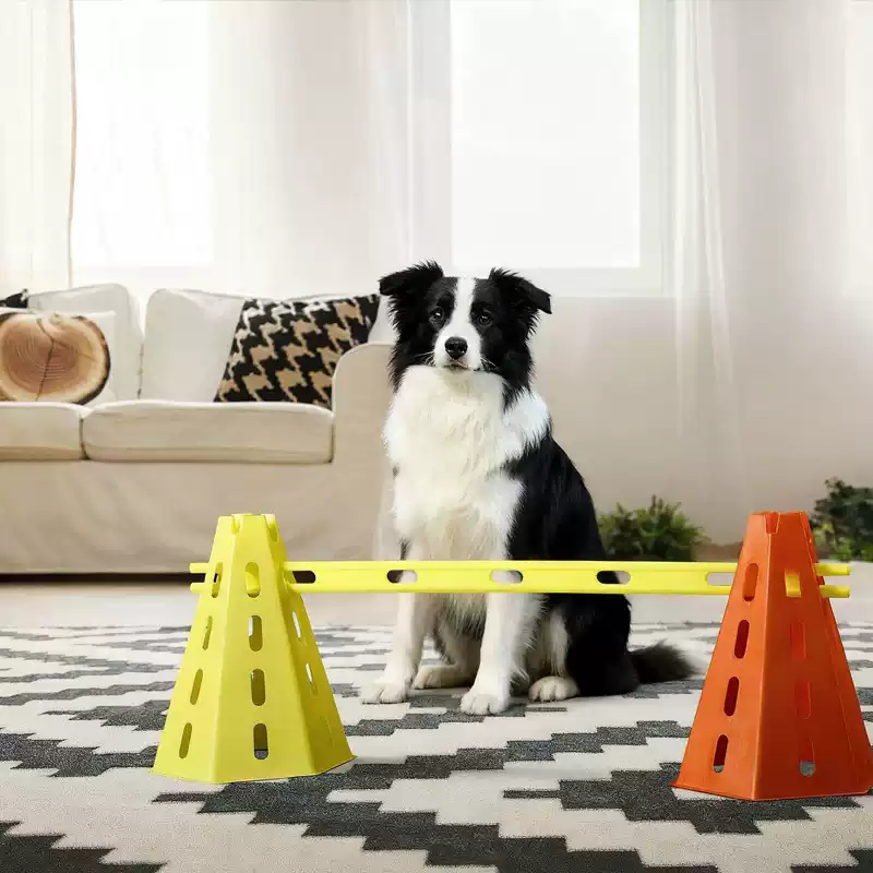 ชุดอุปกรณ์ฝึกความคล่องตัวสำหรั - Agility Hurdle Set บทวิจารณ์และราคา