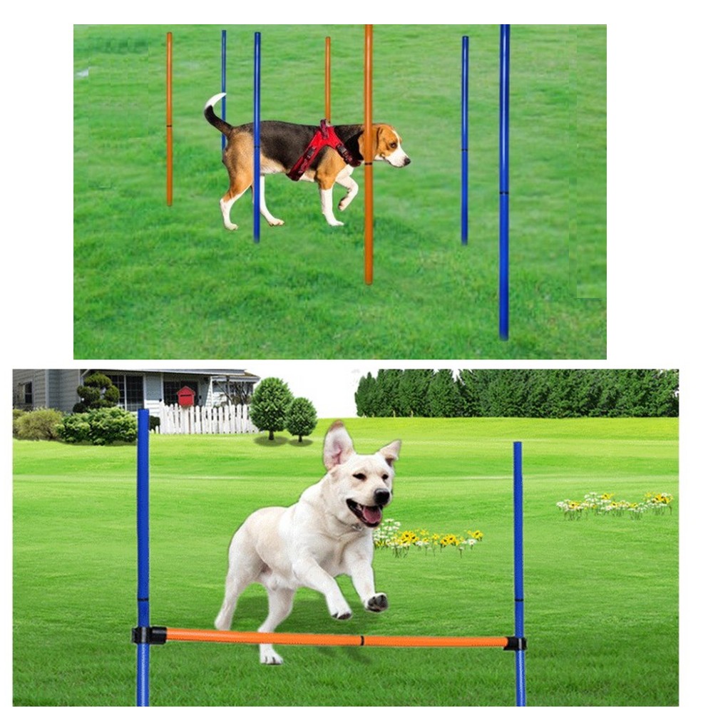 ชุดอุปกรณ์ฝึกความคล่องตัวสำหรั - Agility Hurdle Set บทวิจารณ์และราคา