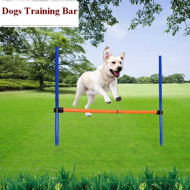 ชุดอุปกรณ์ฝึกความคล่องตัวสำหรั - Agility Hurdle Set บทวิจารณ์และราคา