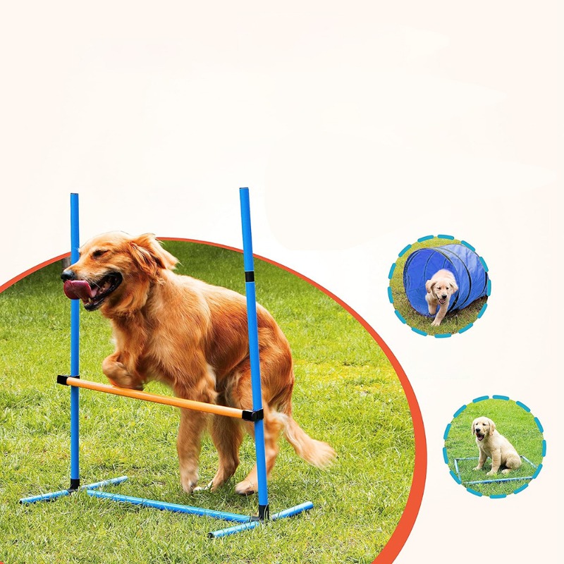 อุปกรณ์ฝึกสุนัขของ Amazon ชุดฝ - Agility Hurdle Set บทวิจารณ์และราคา