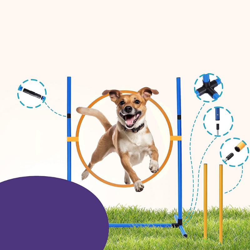 อุปกรณ์ฝึกสุนัขของ Amazon ชุดฝ - Agility Hurdle Set บทวิจารณ์และราคา