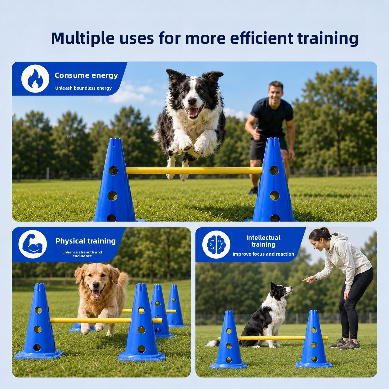 ชุดฝึกความคล่องตัวสำหรับสุนัข  - Agility Hurdle Set บทวิจารณ์และราคา